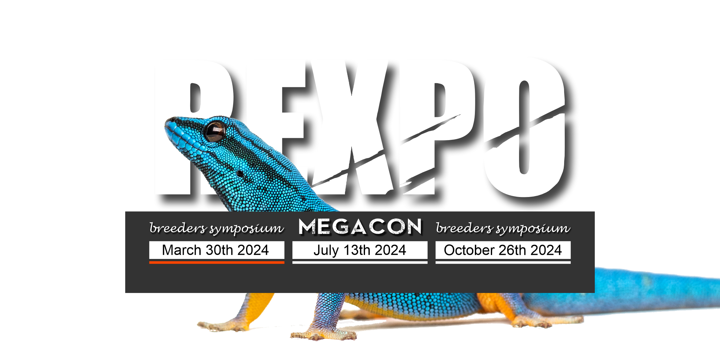 REXPO East Coast Reptile Conventions