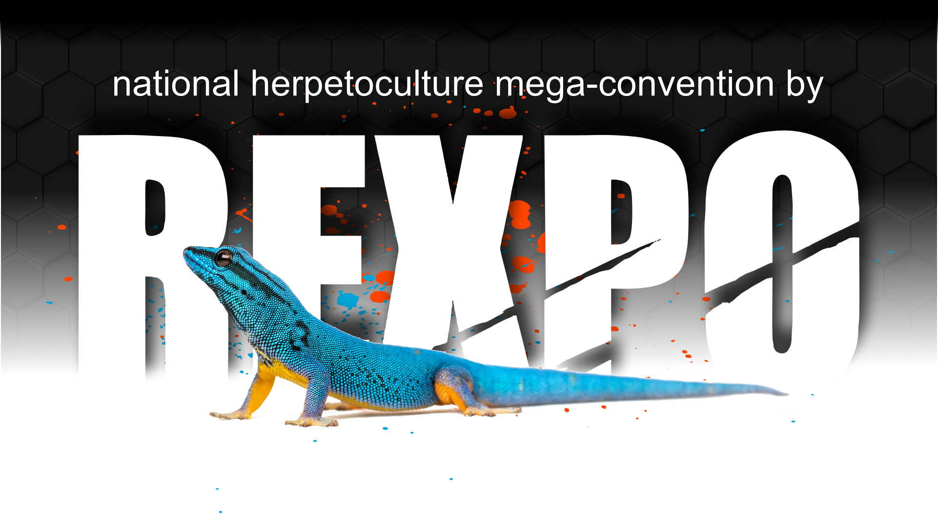 MegaConvention "2024" REXPO East Coast Reptile Conventions