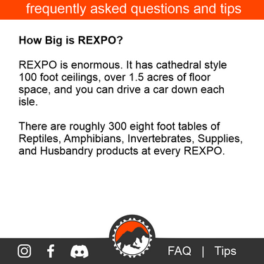 How Big is REXPO.png