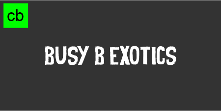 busy b exotics 2.png