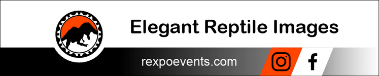 Elegant Reptile Images.png