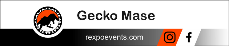 Gecko Mase.png