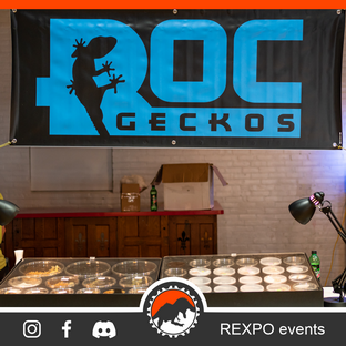 R21 Roc Geckos.png
